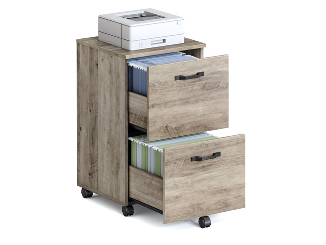 2-Drawer File Cabinet, Small Rolling Filing Cabinet for Home Office, Printer Stand, for A4, Letter-Size Documents, 15.7 x 16.5 x 27.6 Inches,...