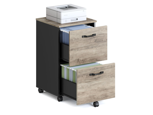 2-Drawer File Cabinet, Small Rolling Filing Cabinet for Home Office, Printer Stand, for A4, Letter-Size Documents, 15.7 x 16.5 x 27.6 Inches,...