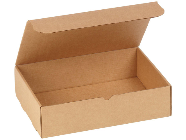 Brown Kraft Literature Mailing Boxes, 15 1/8 x 11 1/8 x 4 Inches, Pack of 50, Crush-Proof, for Shipping, Mailing and Storing