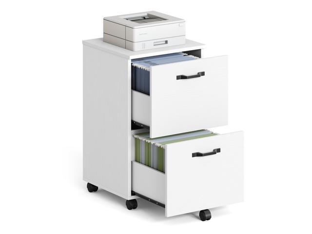 CUSTOS Collection - 2-Drawer File Cabinet, Small Rolling Filing Cabinet for Home Office, Printer Stand, for A4, Letter-Size Documents, 15.7 x 16.5...