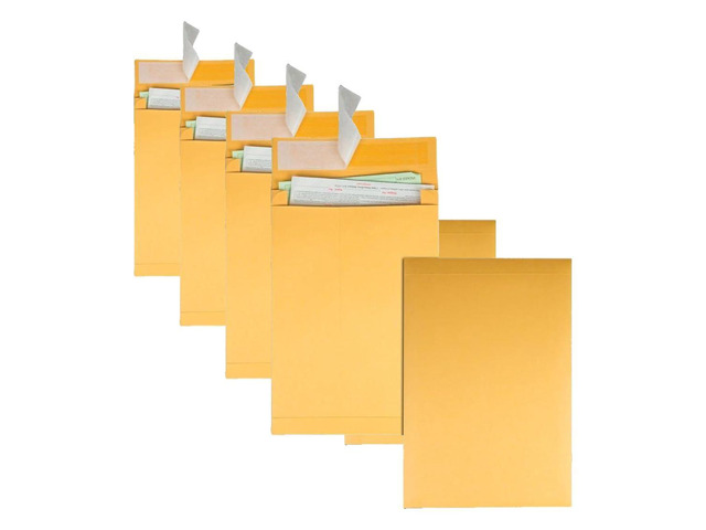 Expansion Envelopes, Plain, 40 lbs., 10 x 13 x 2 Inches, 25 per Pack, Kraft (93336), Light Brown (Pack of 4)