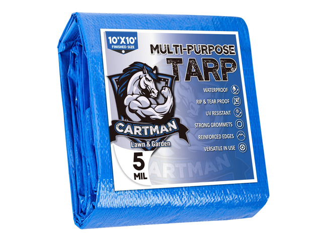 10x10Ft Multipurpose Waterproof Poly Tarp Cover 5 Mil, Blue Reinforced edges, metal grommets every 36in, 8x8 weave; great for moving, temporary...