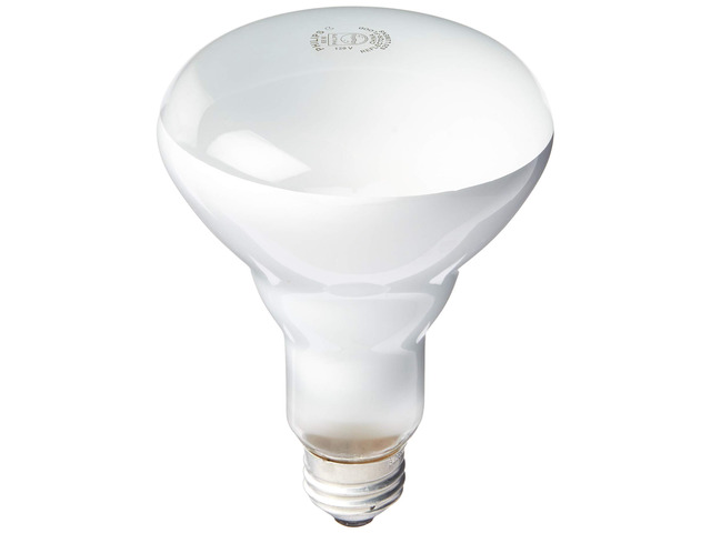 408662 Soft White 65-watt Br30 Indoor Flood Light Bulb, 4 Count (Pack of 1) Globe Shaped Incandescent Bulbs
