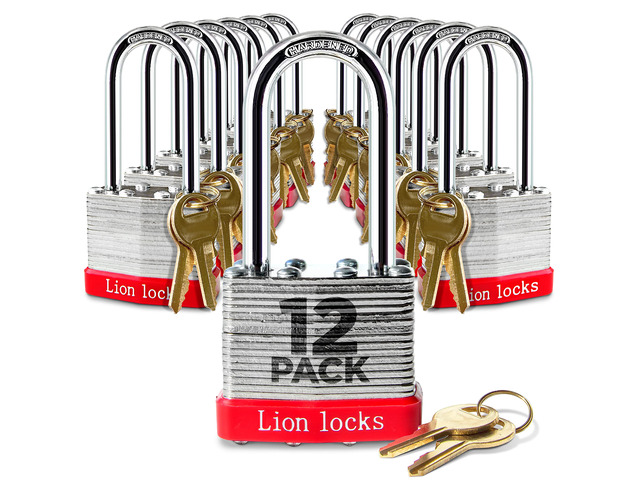 12 Keyed Alike Padlocks with 2' Long Shackle, 24 Keys - Padlocks for Outdoor Use, Locks with Keys, Hardened Steel Case, Pick Resistant Brass Pin...