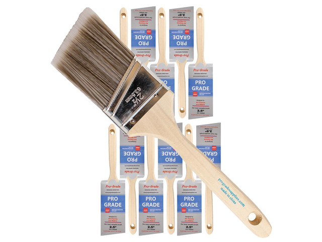 Paint Brushes, 2.5 Inch Angle Paint Brush, Walls & Trim, 12 Pack Sash, cut-in & detail work Furniture, cabinets & doors Interior & exterior ...