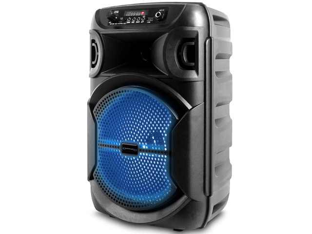 8 Inch Portable 800 W Bluetooth Speaker w/Woofer & Tweeter Festival PA LED Speaker with Bluetooth/USB Card, True Wireless Stereo, 30 Feet BT Range