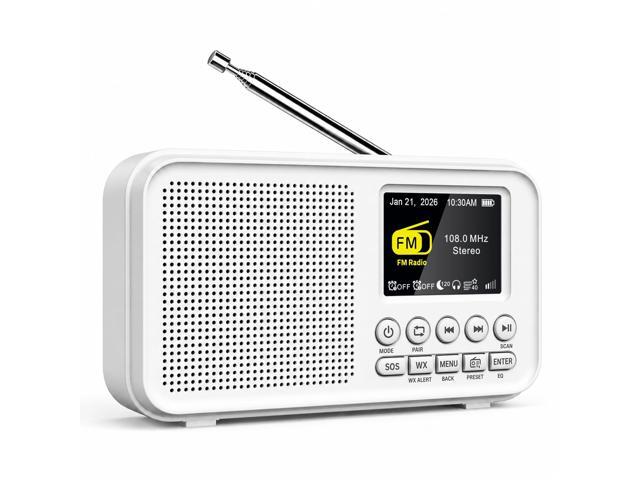 Portable FM Radio with 40 Presets, Bluetooth & 3000mAh Battery NOAA Weather Alert, MicroSD Playback, 8W Speaker, Headphone Jack, Dual Alarm Clock...