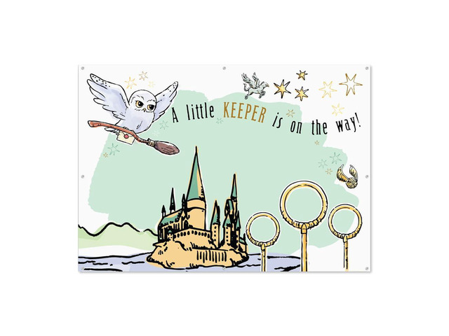 Conquest Harry Potter Baby Shower Banner Large Photo Op Backdrop, Gender Reveals, Magical Wall Decorations, Wizarding World Parties, 5ft x 7ft,...