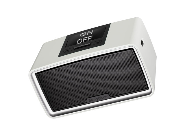 Simple Music Player for Seniors, Easy to Use with Large Button for Elderly with Dementia, Blind, Alzheimer's, No Need WiFi/Bluetooth, with 32GB TF...