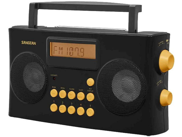 PR-D17 AM/FM-RDS Portable Radio Specially Designed for The Visually Impaired with Helpful Guided Voice Prompts, high Contrast Large Yellow Controls...