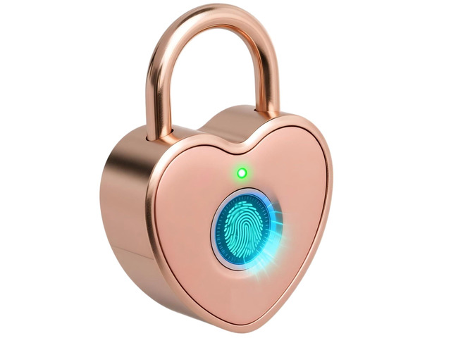 Fingerprint Padlock for Gym Locker, Heart Shaped, Rose Gold Rechargeable Cute Smart Lock,10-Fingerprint Memory, Ideal Gift for Jewelry Boxes,...
