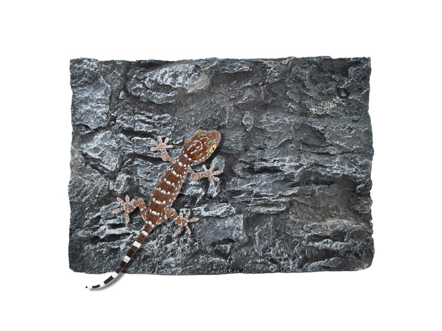 Reptile Tank Background Board Rock Terrarium Cork Background Board 3D Wall Backdrop Aquarium DéCor Backgrounds Amphibian Habitat Decoration for...