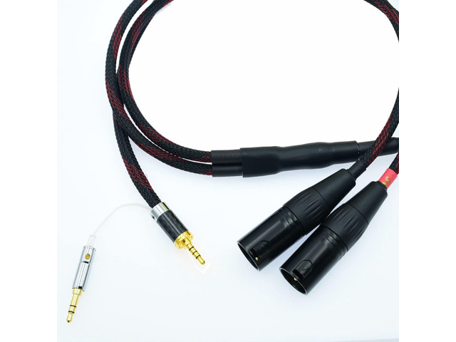 2.5mm Trrs to 2 Dual XLR Male Cable Balanced Audio for Astell & Kern AK100II, AK120II, AK240, AK380, AK320, DP-X1A, FIIO X5III XDP-300R iBasso DX200,...