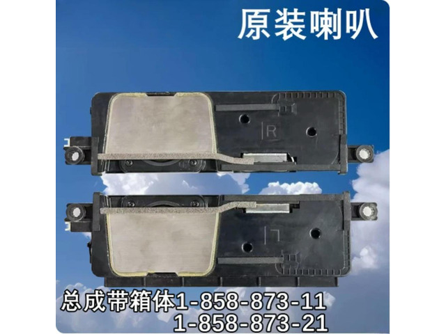 For TV Speaker 1-858-873-11/21 Fits KDL46W950A KDL55W950A 65W850A Audio Replacement Parts