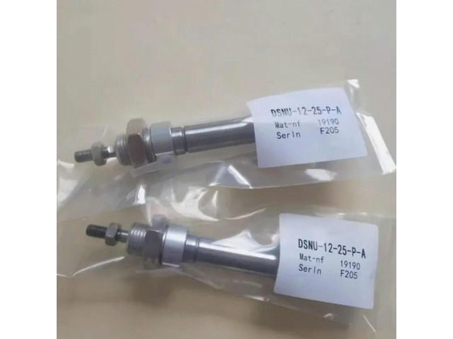 1pcs DSNU-12-25-P-A 19190 True Air Cylinder 1pcs Assurance Fast delivery