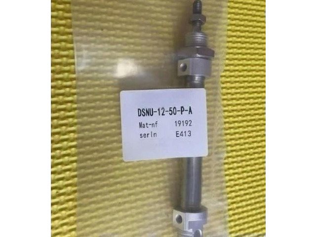 DSNU-12-50-P-A 19192 Standard Cylinder 1pcs Fast delivery