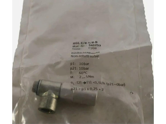 HGL-1/8-1/8-B 543253 Flying Non-Return Valve Assurance Fast transport