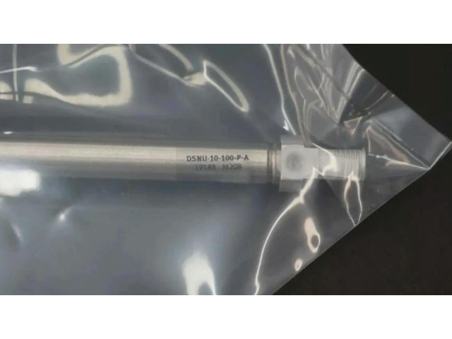 DSNU-10-100-P-A 19188 Vacuum Cylinder Fast delivery