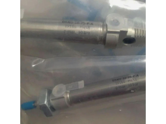 1pcs DSNU-10-25-P-A 19184 Cylinder Product Fast delivery