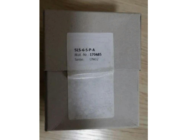 SLS-6-5-P-A 170485 Sliding Cylinder Hot Selling 1pcs Fast transport