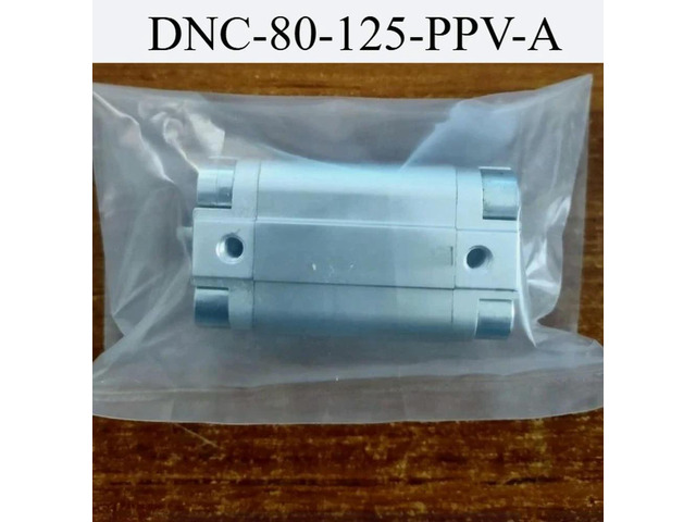 cylinders DNC-80-125-PPV-A Expedited shipping