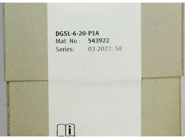 DGSL-6-20-P1A 543922 Fast delivery