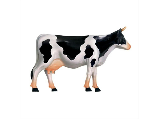 Animal Organ Anatomy Model 4D Cow ligence Assembling Toy Teaching Anatomy Model Cow Assembled Model Animal