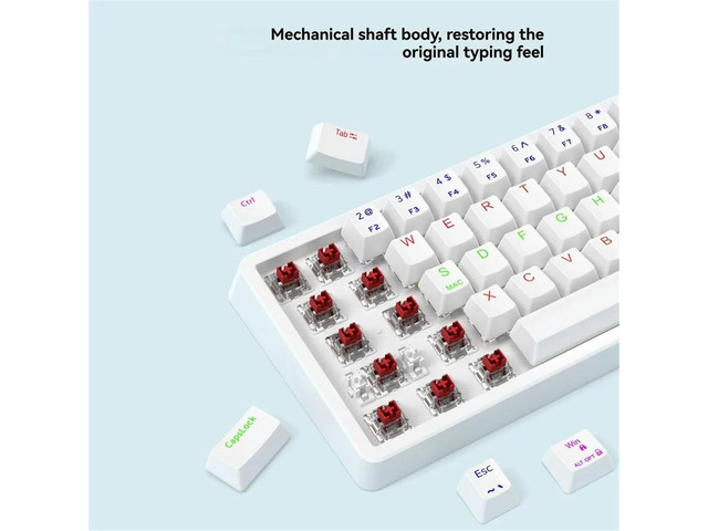 68 Key Mechanical Keyboard USB Wired RGB Backlight LED Red Switch Keyboard for Game PC Laptop Office
