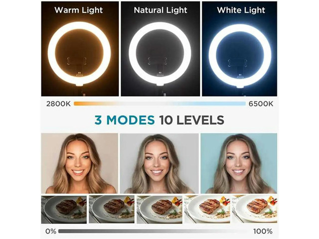 Overhead Phone Mount with Ring Light, 10' LED Selfie Ring Light for Desk with Phone Holder and Remote Canvas Lamp