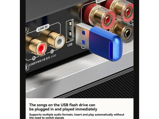 Bluetooth 5.3 TPA3116D2 Class D Power Amplifier 2.0 Audio Amplifier 2x100W 2 Microphone USB Input with Remote EU PLUG