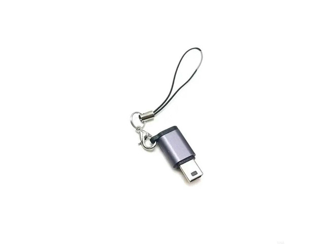 Alloy Type-C Female to Mini USB Male Converter Connector Adapter with Anti-lost Rope Supports Charging & Data Sync