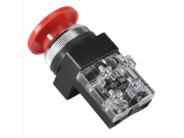 Red Green AC 250V 6A DPST Momentary Mushroom Head Push Button Switch
