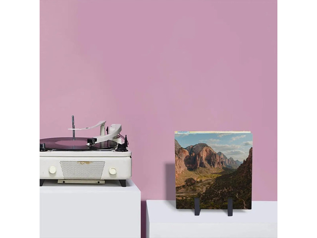 Record Stand Tabletop Metal Record Vinyl Holder Vinyl Record Storage Album Storage Rack for CD/LP Vinyl Record Supplie