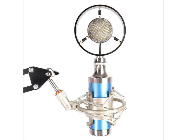 Professional Condenser Wired Vintage Recording Studio Microphone for Live Broadcast White