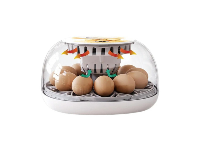 12 Egg Capacity Incubator Humidity Control System Poultry Brooder 26*14*26cm 12 Egg Incubator Transparent Thermal Cover