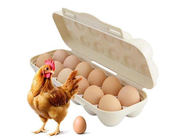 Large Capacity Outdoor Egg Holder, Plastic Egg Fresh Carrier Egg Storage Container Organizer Box for Fridge, Stackable Camping Egg Holder for Home...