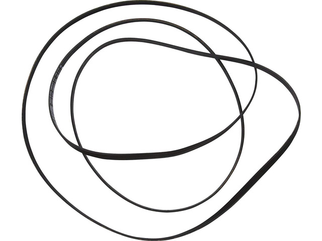 Compatible Drum Belt for Maytag MDE6400AYW, MDE6000AYW, MDE6800AYW, MDE3600AYW Dryer - Ribbed Dryer Belt Replacement Part