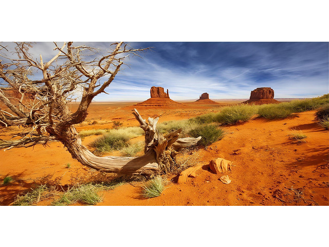 30X18 Inch Sun-Baked Desert Terrarium Backdrop - Orange Sand Habitat Background Durable Polyester Reptile Tank Decor for Arid Species