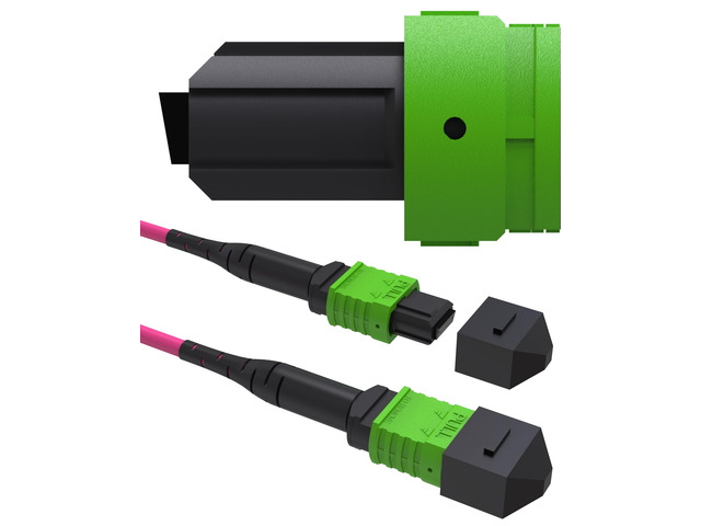 MPO to MPO Female OM4 Fiber Patch Cable, 16 Fiber Multimode MPO Trunk Cable for 40G/100G QSFP+ Applications, LSZH Fiber Cable Angled Physical...