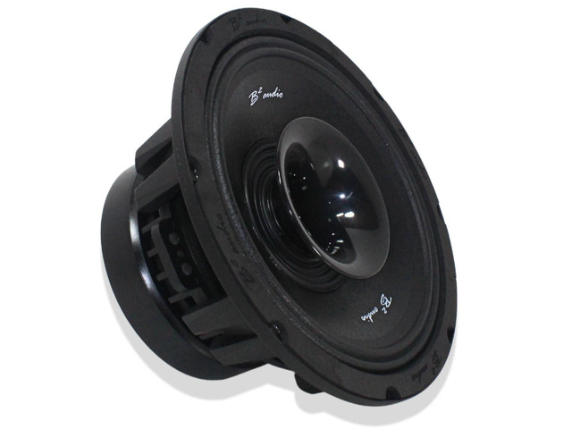 Rage 10' 4-Ohm 300 Watt RMS Hybrid Coaxial Speaker Pair RAGE10CXP