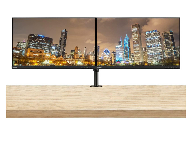 ThinkVision S24e-20 23.8' Full HD 1920 x 1080 WLED LCD Monitor 2-Pack, 250 Nit, FreeSync, HDMI-VGA, Raven Black Bundle with Adjustable Desk Mount...