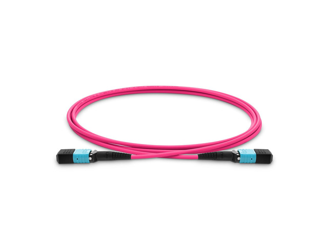 MPO to MPO Fiber Patch Cable,12 Fibers Female, 40G/100G/200G/400G, OM4 50/125 Multimode Standard Loss Trunk Cable, Type B, Plenum (LSZH) with...