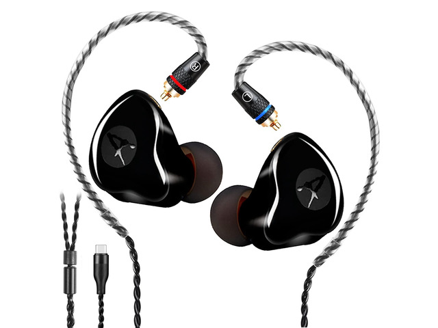 Dynamic Banlance in-Ear Earphone 2DD HiFi Headset in Ear Monitors Headphones Wired Earbuds IEM Earphones Gaming EarbudsBlack Type-C Without mic