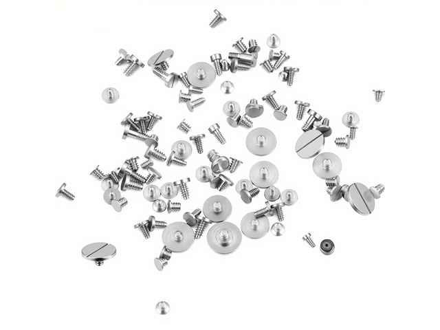100 pcs Watch Screws, Watch Battery Clamp Screw Assortment Kit Micro Screws Replaces Old Battery Clamp Screw in Watches for Watchmaking and Watches...