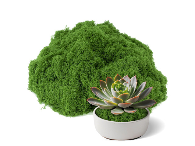Fake Green Moss for Potted Plants Indoor, 3.5 OZ Artificial Moss for Crafts, Decorative Faux Grass for Fairy Garden, DIY Table Centerpieces, Model...
