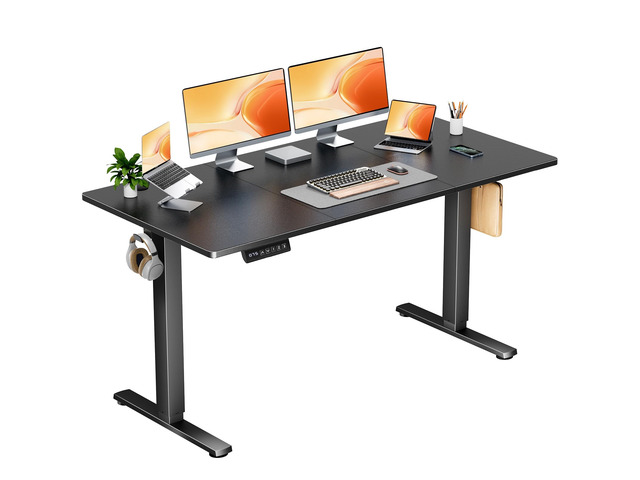 63 Inch Electric Standing Desk, Memory Adjustable Home Office Desk Sit Stand Up Desk for Work Home Office,Adjustable Desk, Rising Computer Table...