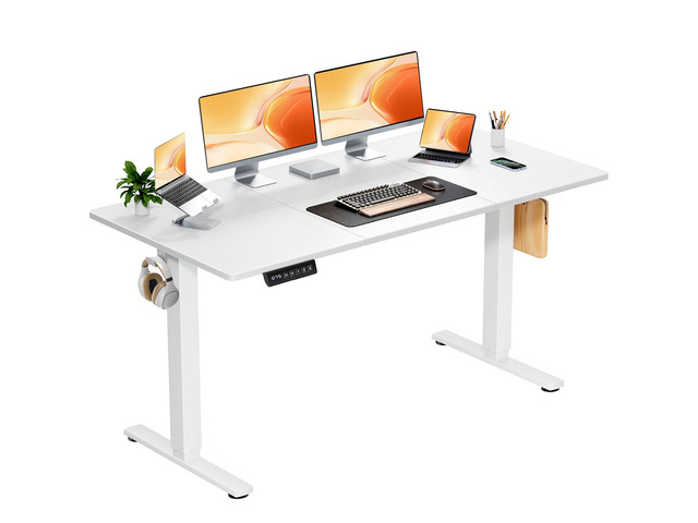 63 Inch Electric Standing Desk, Memory Adjustable Home Office Desk Sit Stand Up Desk for Work Home Office,Adjustable Desk, Rising Computer Table...