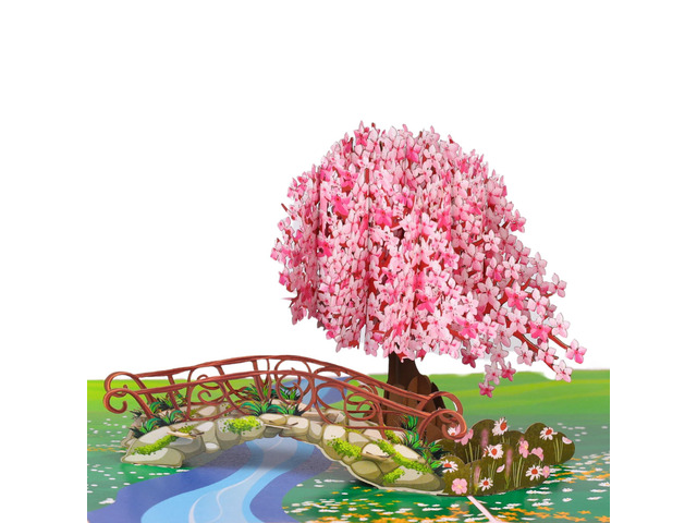 Cherry Blossom Pop Up Card, 3D Popup Flower Birthday Card 6x 8', Ideal Gift for Birthday, Mothers Day, Thank You, Anniversary, Valentines, All...