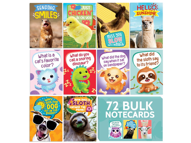 72 Funny Animal Notecard Set with Envelopes and Stickers - 4.5 x 6.25 Humorous Thinking of You Cards - Unique Designs with No Repeats Ideal for...