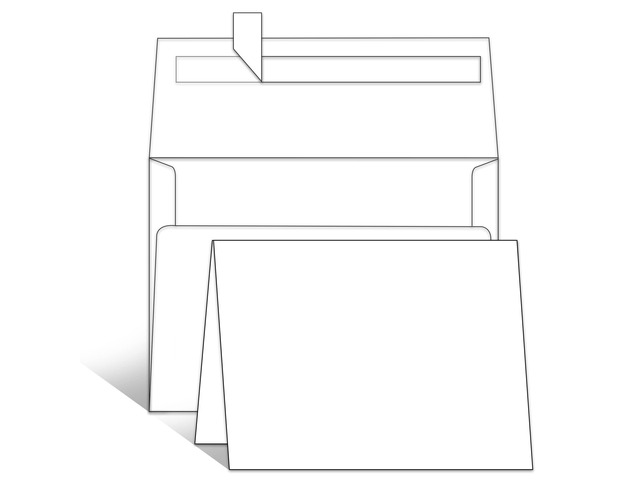 100 Pack Blank White Cards with Envelopes 4x6 4 x 6 Folded Cardstock and A6 Envelopes Self Seal 100 Pack for Invitations, Wedding, Thank You Cards...